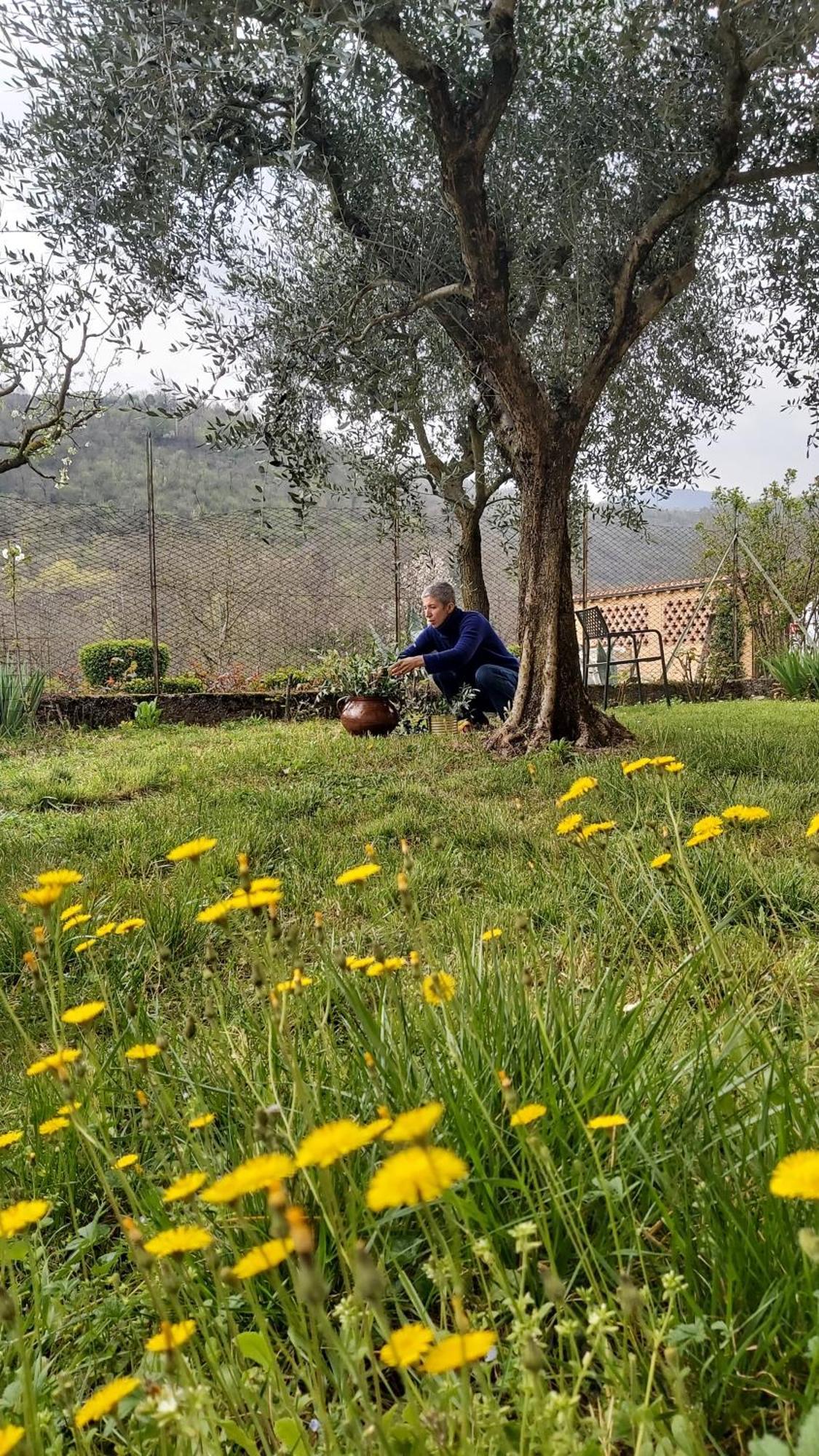 Corte Martinola Bed&Breakfast In Franciacorta Ome Exterior photo